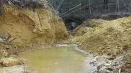 126_4465.webp