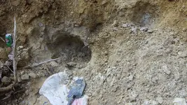 126_4483.webp
