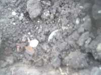 100_2773.webp 100_2773.webp