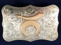 buckle.webp