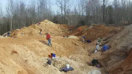 126_4495.webp
