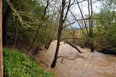 creek1.webp