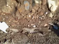 2015-03-12 17.11.14.webp