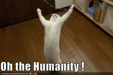 humanity.webp humanity.webp