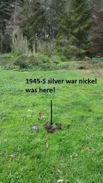 Park finds 2-7-15 002.webp