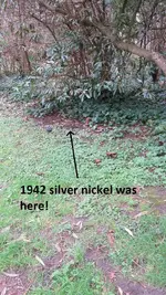 Park finds 2-7-15 005.webp
