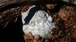 20150331_102646.webp