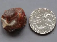 Agate-RedOutWhiteIn-2013-IMG_2692SSS.webp