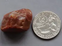 Agate-RedWhite-2013-IMG_2691SSS.webp