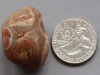 Agate-RedFort-2013-IMG_2703SSS.webp