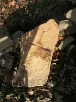 1426829869041.webp