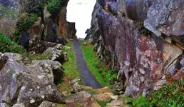 DSCN7453.webp