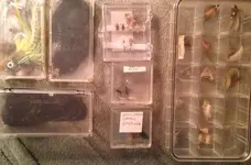 ImageUploadedByTreasureNet.com1426220944.833913.webp