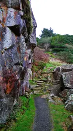 DSCN7458.webp