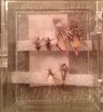 ImageUploadedByTreasureNet.com1426221027.230447.webp