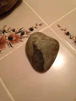 ImageUploadedByTreasureNet.com1424688741.753165.webp