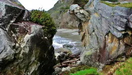 DSCN7468.webp