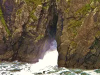DSCN7503.webp