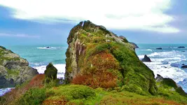 DSCN7513.webp