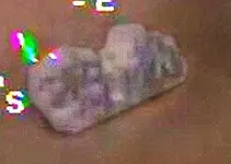 Old Man Treasureclump.webp