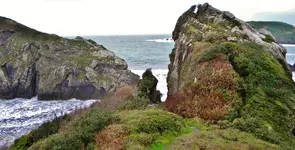 DSCN7514.webp