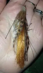 ImageUploadedByTreasureNet.com1426223065.593730.webp