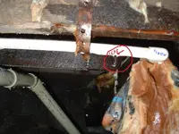 DSCF0005.webp