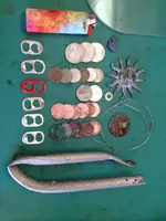 ImageUploadedByTreasureNet.com1427822887.410901.webp