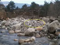 14.webp