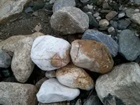 18.webp