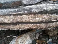 24.webp