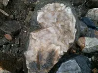 36.webp