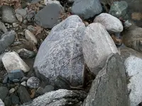 37.webp