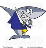 shark1..webp