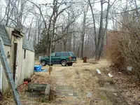 226.webp