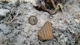 ImageUploadedByTreasureNet.com1424050764.494338.webp