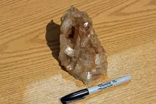 more specimens 0011.webp