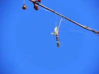 K1600_028.webp K1600_028.webp