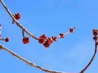 K1600_036.webp K1600_036.webp