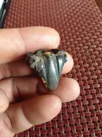 ImageUploadedByTreasureNet.com1426265029.275681.webp