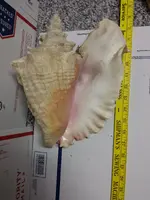 2015-02-23 13.25.10.webp