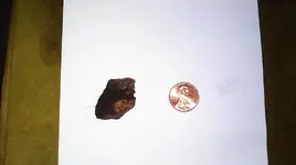 rock3.webp