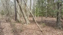 1426277756334.webp
