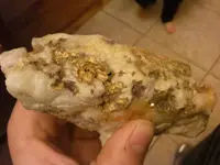 CAM00335.webp