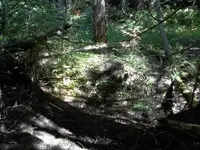 100_0524.webp 100_0524.webp