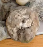 ImageUploadedByTreasureNet.com1429084764.628782.webp