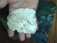 ImageUploadedByTreasureNet.com1424061898.318043.webp
