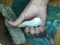 ImageUploadedByTreasureNet.com1424061922.253964.webp
