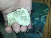 ImageUploadedByTreasureNet.com1424061952.891147.webp