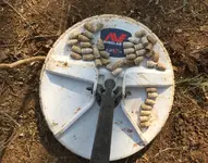 deep bullets one day.webp